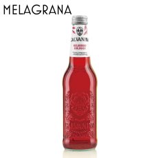 画像9: GALVANINA CENTURY BIO ガルバニーナ センチュリー ビオ | 355ml | 有機JAS (9)